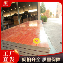 ؑcBģʹ6-9 Ƽӹa 񱡾 Sl؛ľ