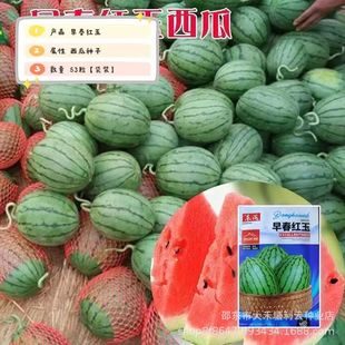 �紺�t�����ϷN��������Ʒ�N�����͵͜�������������ˬ��֭ˮ���N