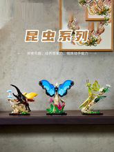 中国积木创意系列21342昆虫蝴蝶模型儿童益智拼装玩具男女孩礼物