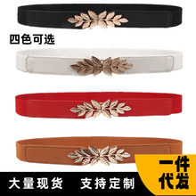 С���~����Ů�����B��ȹ��ɫ���x�n�溆�s���ٌ��ۏ����ɾo��Ƥ��