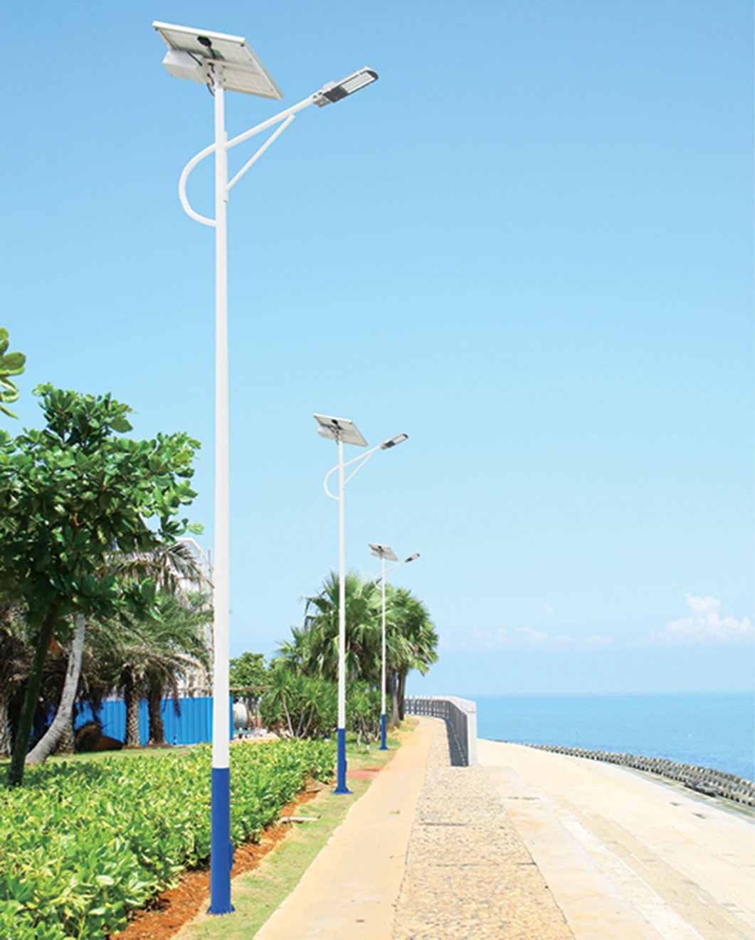 新农村太阳能路灯 户外太阳能LED路灯 亮灯时间长6 米太阳能路灯