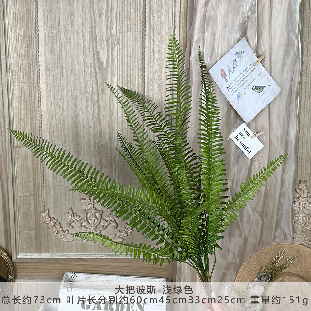 YM - เพอร์เซียน ดีไลท์ - สีเขียวอ่อน