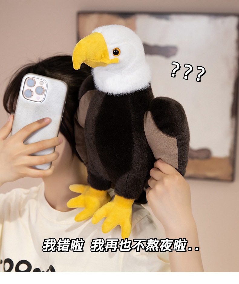 (16).jpg
