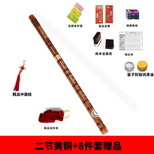 笛子横笛初学二节专业演奏入门精品单插黄铜学校琴行推荐送配件