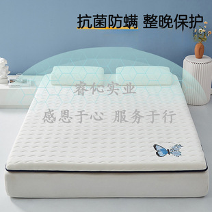 Latex Mattress Upholstery Household Tatami Mat Mattress Thickened Student Dormitory Single Sponge Rent Mattress Cross Border