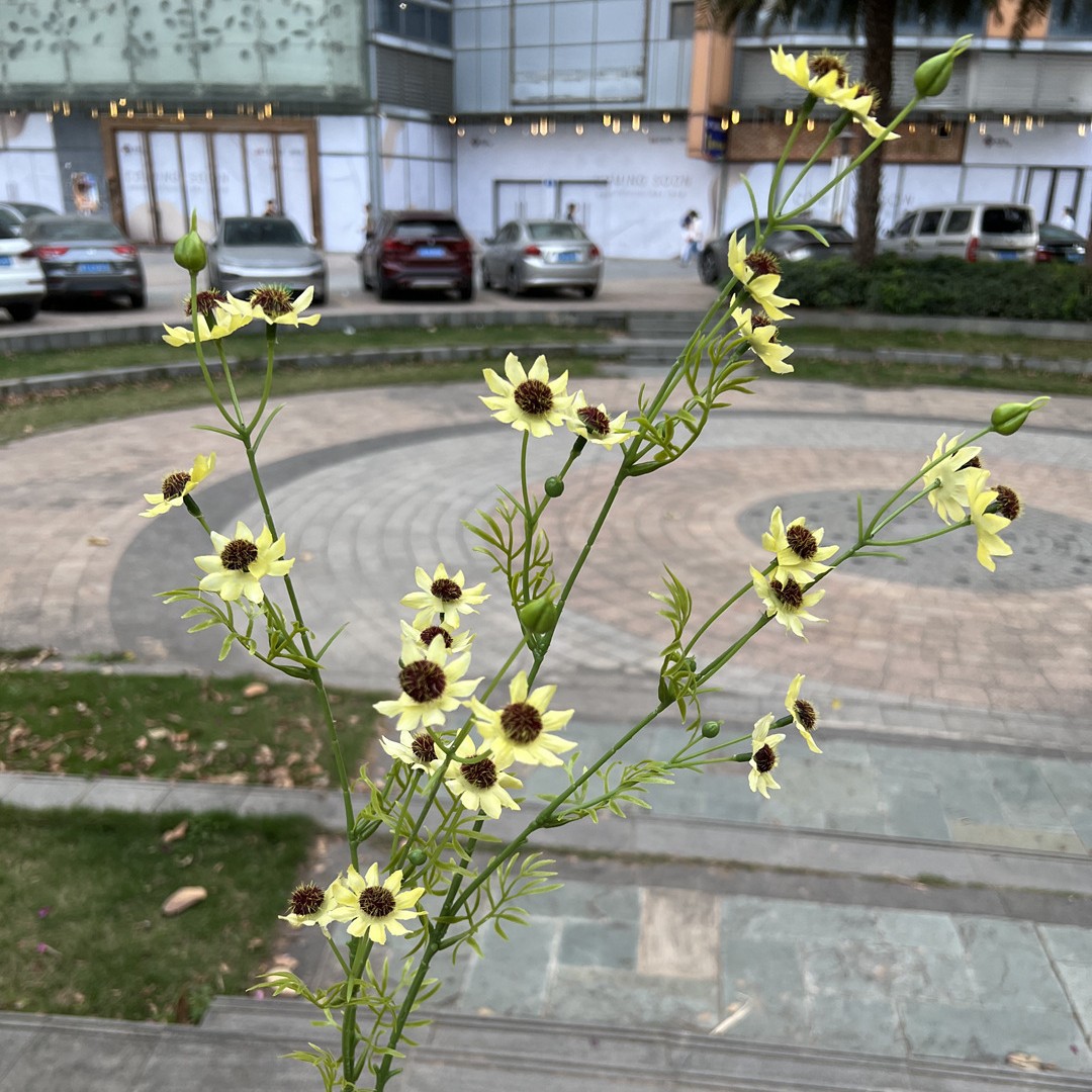 Nueva fábrica de flores artificiales de la boda amarillo leche amarillo limón amarillo fresco al aire libre Salón de la boda decoración flor falsa al por mayor