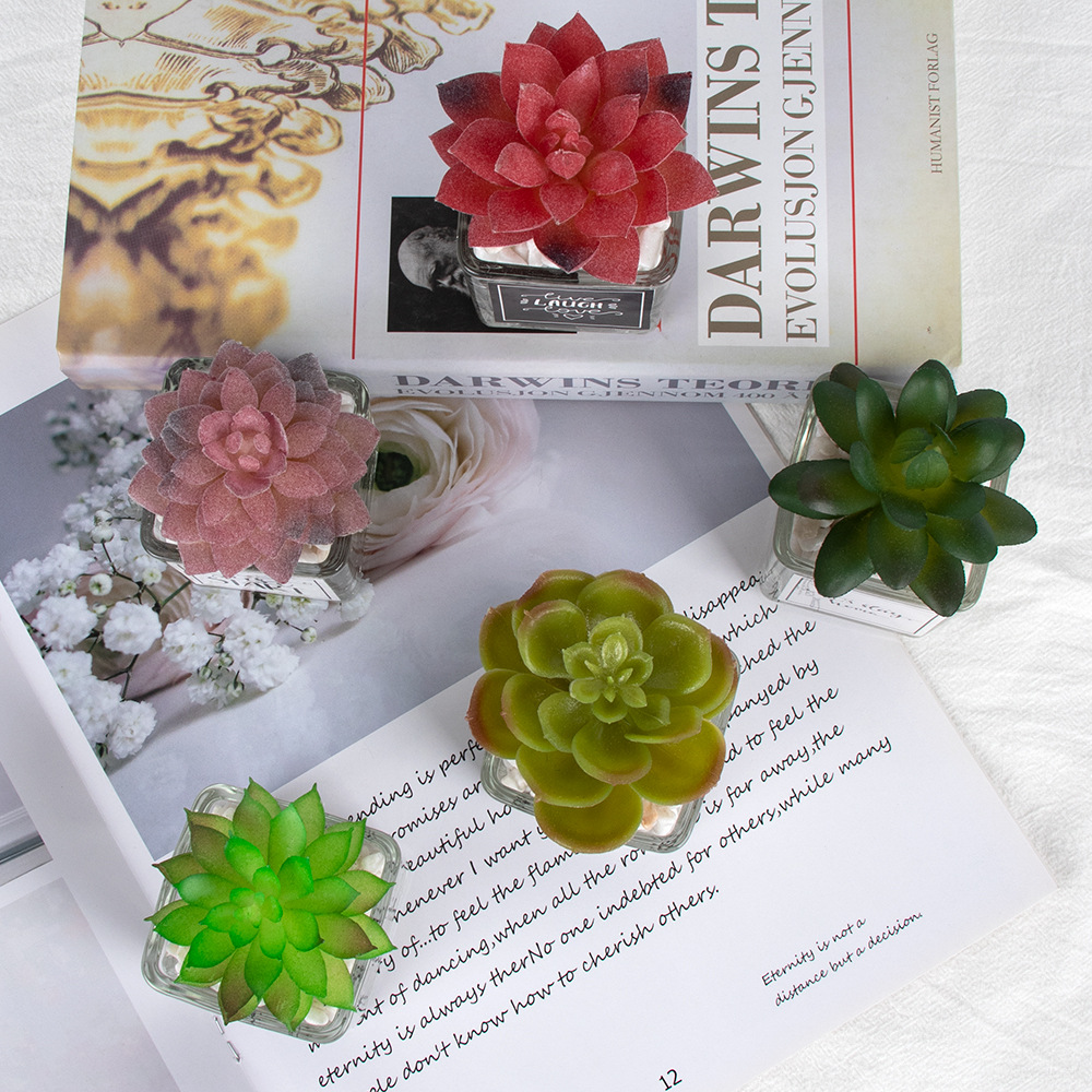 De cinco capas de aloe africano pegatina de vidrio mini suculenta maceta decoración de escritorio simulación planta de piedra artificial bonsai