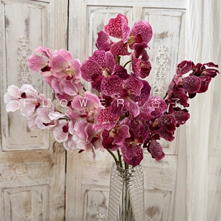 胡姬万代兰仿真花手感保湿软胶品质花艺设计花束胡姬蝴蝶兰家装花