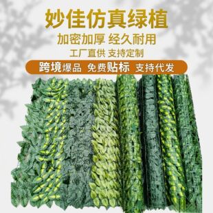 �羳���N����h�ʷ���Gֲ���břڻh���~�ӵ���ړ�ֲ�����