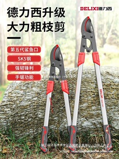 ������������֦������֦��֦�����M���ޘ�֦�޼���ꇹ�