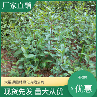 ���������l�� ���󃞻����ܘ��� ���^�쾰��·�@�ֹ��̾G����