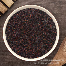 ��Ʒ�|��޼��BLACK QUINOA Դ�^���S޼�����a�S��