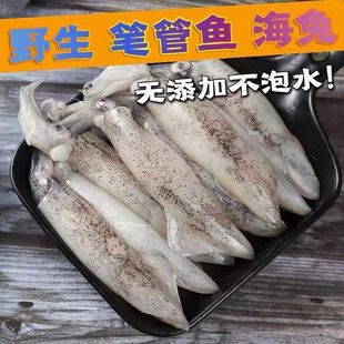 �����P���~���r���������~���ك�ī�~��צ�~���r