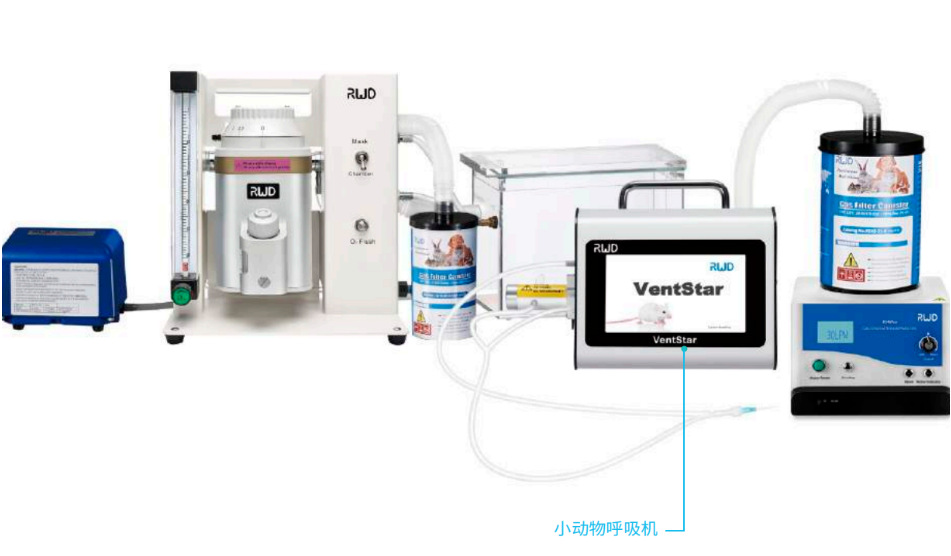小动物呼吸麻醉机系统 型号:RWD-R415/R500