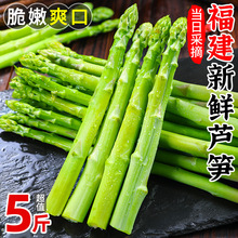 新鲜芦笋现挖5斤农家蔬菜嫩青绿芦笋当季春笋龙须菜整箱包邮