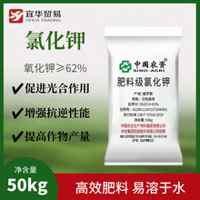 ���_˹�t�60% ���62%   ���r�л����  �Ȼ��  ���_˹⛷�