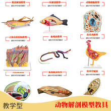 ����̌W�x������ģ���~�u���w�������K��Ѫ���x���xģ��