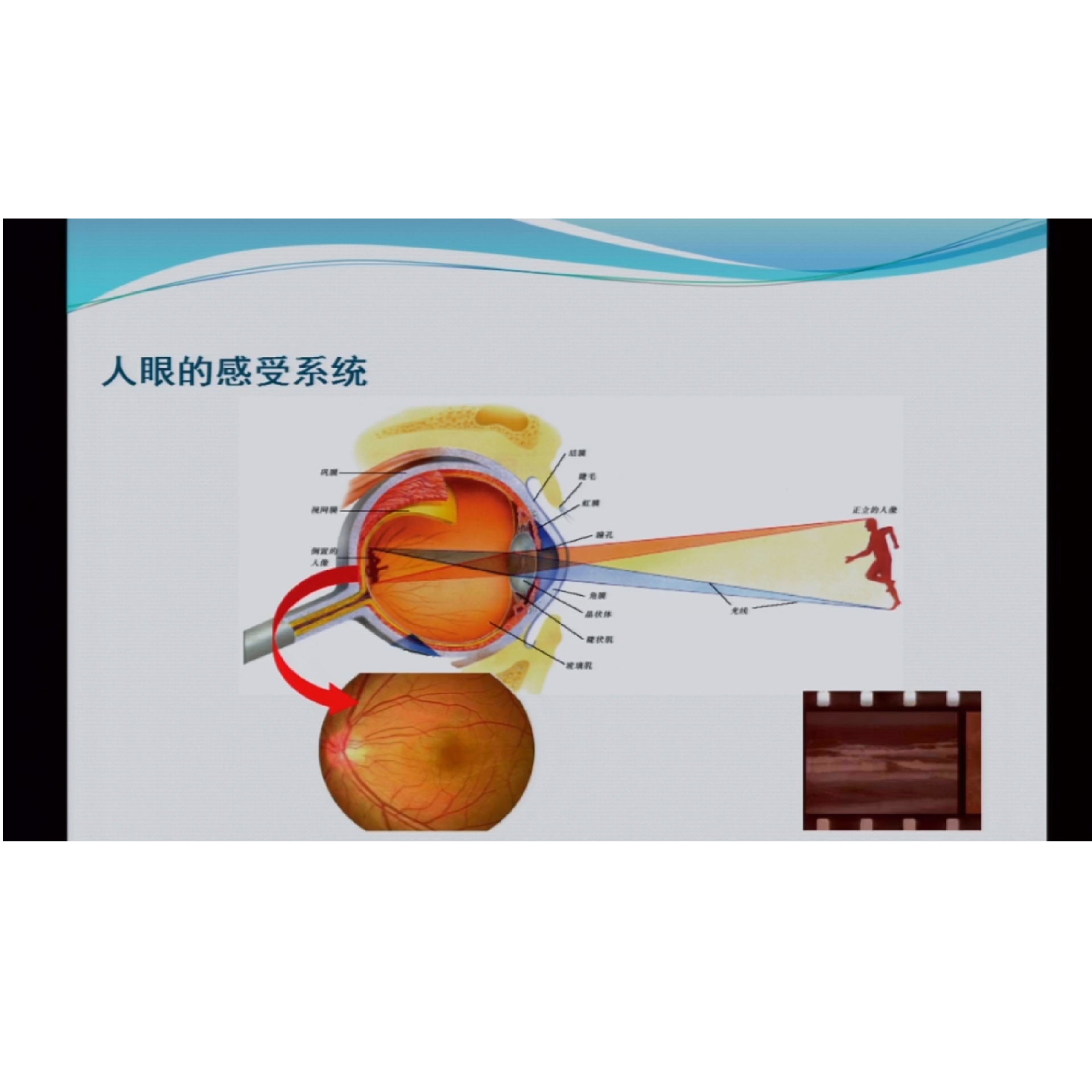 �������Ƽ��״������̣�һ�� �γ�����