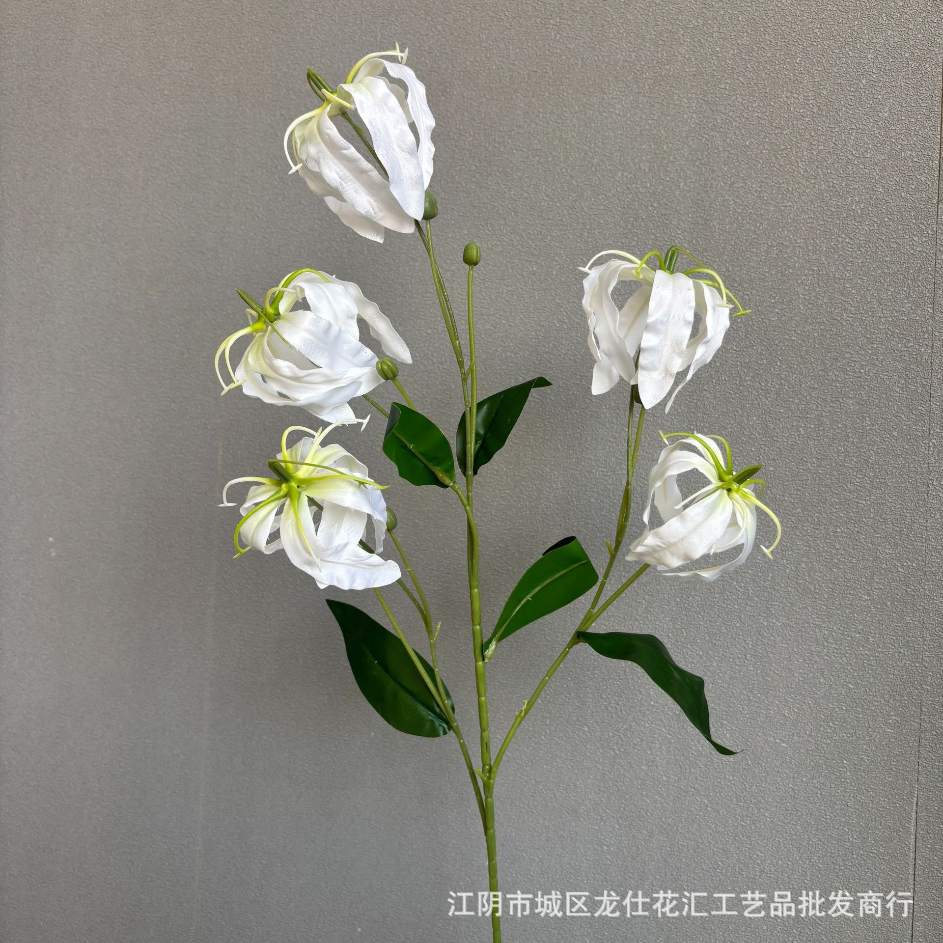 불꽃 백합 5개