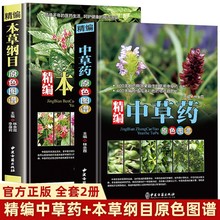 【全2册】本草纲目+中草精编原色图谱彩图版正版精装 大全图鉴