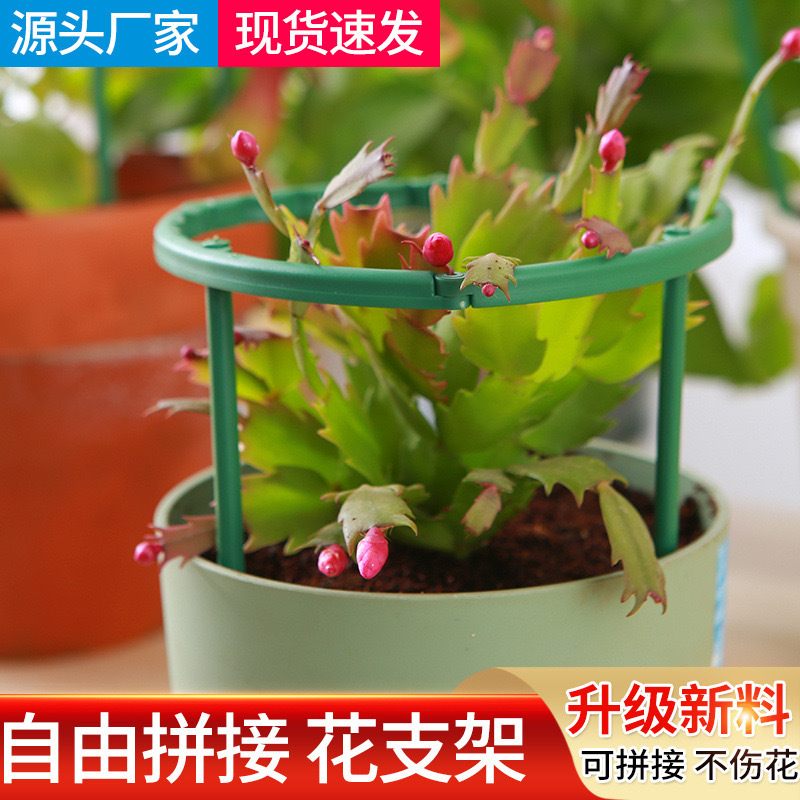 兰花支架防倒架爬藤架园艺用品花卉植物专用支撑杆花架支柱批发