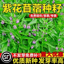 ϻޣݷNѴ~ݷNò~uZʳļ