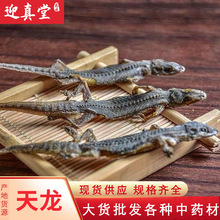 ��ș�����l���������ֻ�ڻ������،m�_�űڻ��ɴ�ĥ��������Ҏ��