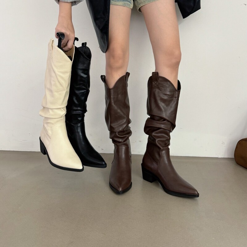 Chunky Heel Melad V-Cut Slim Long Boots for Women 2025 Autumn/Winter Pointed Toe Mid-Length Boots