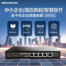 磊科NBR100多WAN口企业级有线路由器全千兆端口大功率大型5口