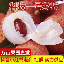 其他水果;梨;番薯类