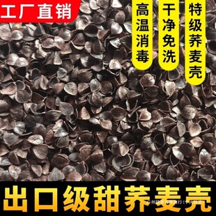 ������ʸɃ��w�������l�߽��w�����ɚ����^�o�s�ڿ�10����b