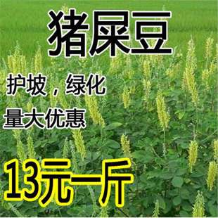 �iʺ���N��ľ����ľ�o�²���߅�¹����;Gֲ��E���A�~�G���N����