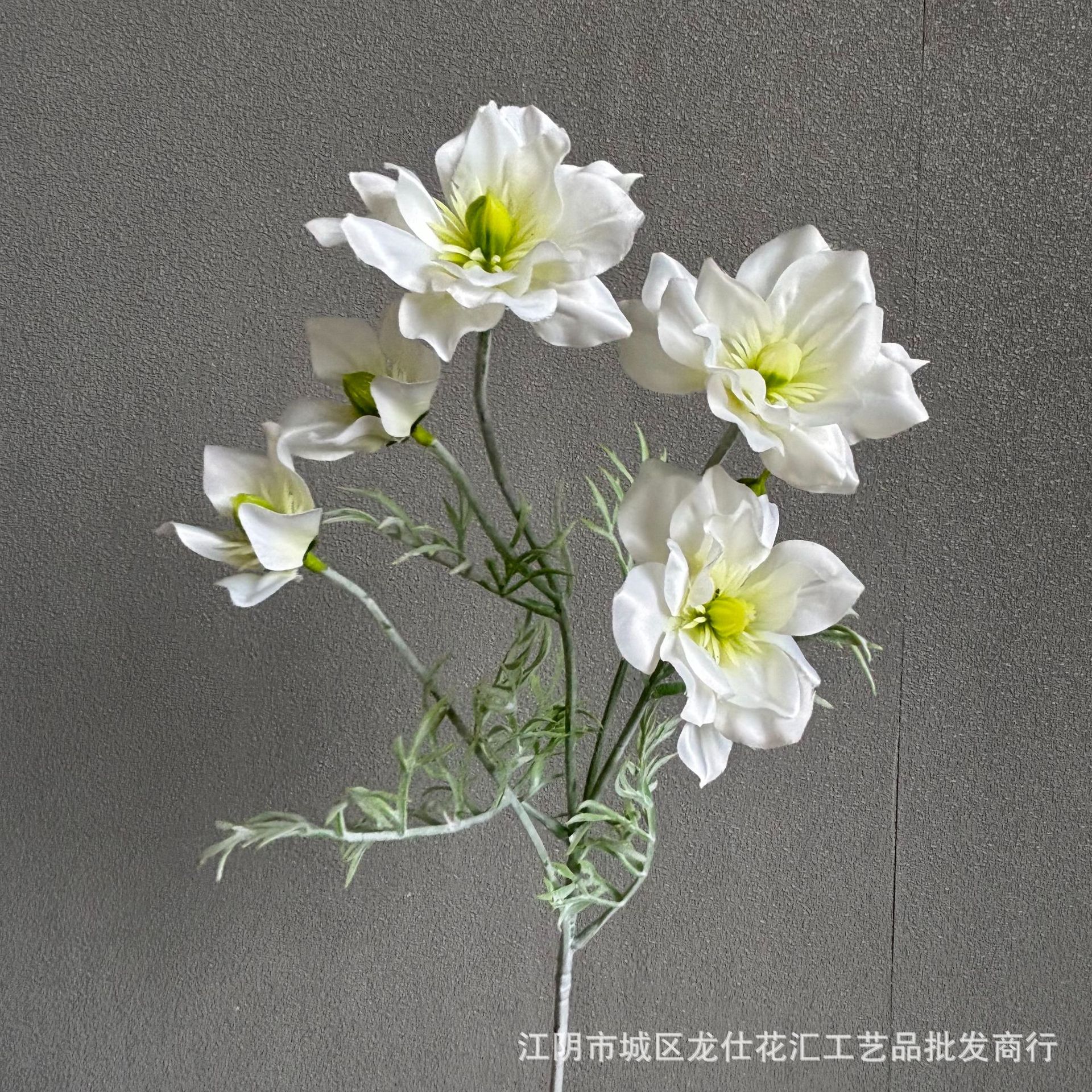 황금 연꽃