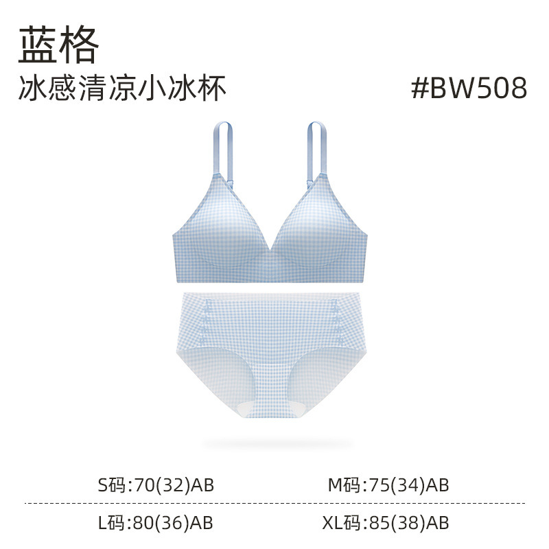 卸売夏の軽くて薄い女性の下着新鮮なハイエンドチェック柄カッププッシュアップ美しいバック三角カップブラセット|undefined