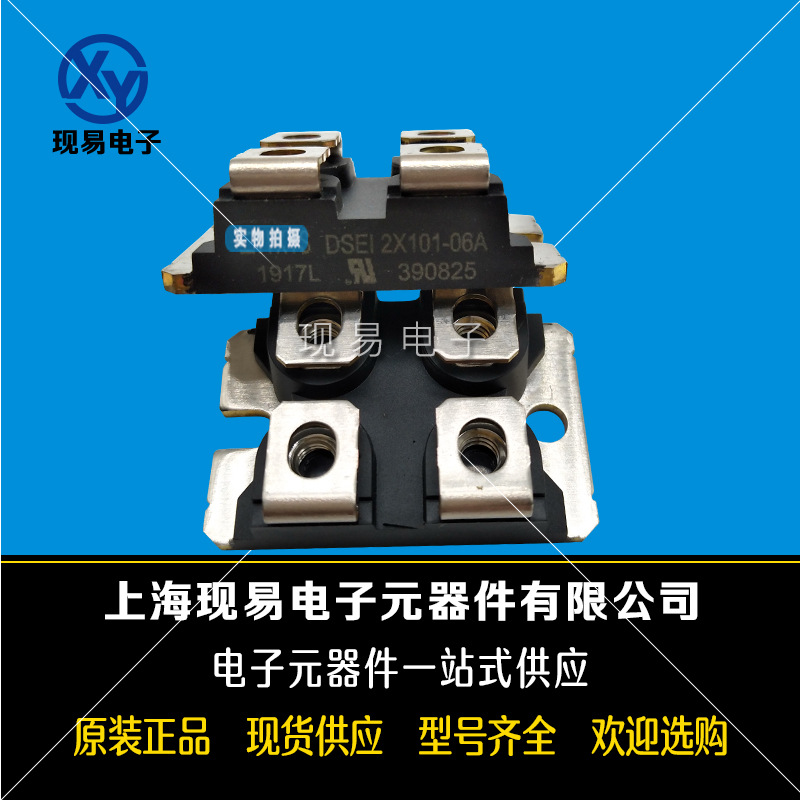 DSEI2X61-06A/12A DSEI2X101-06A/12A BYT260/261PIV800 功率模块