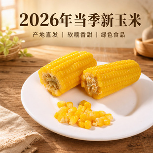2026�|���^��Ŵ����ճ���װ�����i�r�ּZ�����������l���S���]