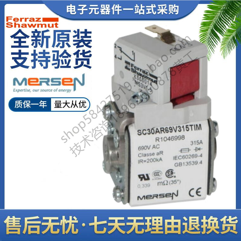 Ferraz 罗兰熔断器 SC30AR69V100TIM J1046991 美尔森Mersen 100a