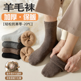 ������ë�m���ж�����Ͳ�ӽq�Ӻ��L�m�ﶬ�ɫ��q��ů�l�����m