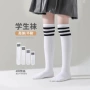 秋季过膝薄款儿童长筒袜