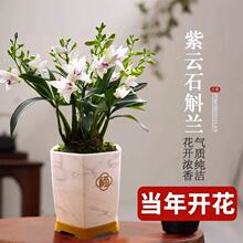 �����m���� ��녝�īʯ���m �F���������ۺ��B�Gֲ���������滨��