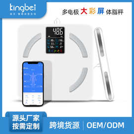 智能体脂秤家用精准充电体重秤 蓝牙电子秤人体健康脂肪称