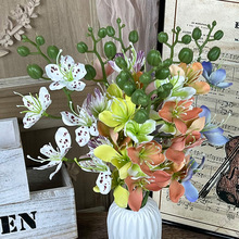 ��֧����С5�^��z������滨�������Ļ��ٻ��Ҿ��҃��쾰�b�