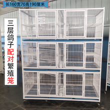 新款三层鸽子配对繁育笼观赏信鸽笼加大空间加密防黄鼠狼带平台架