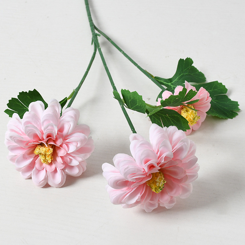 3 cabezas de caléndula