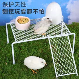 其他小宠用品;鸟类;喂食器