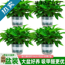 ���~�G�}�����҃ȿ͏d����ȩ�����՚�ֲ��Gֲ�����k���ҾG�j���l