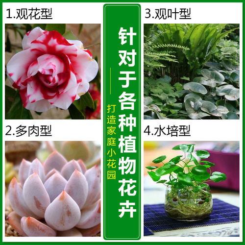Factory direct sales Dewoduo fertilizer plant nutrient solution special fertilizer for flower cultivation concentrated universal type wholesale