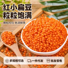 土耳其红小扁豆新货红扁豆番茄红五谷粗粮支持一件代发批发零售