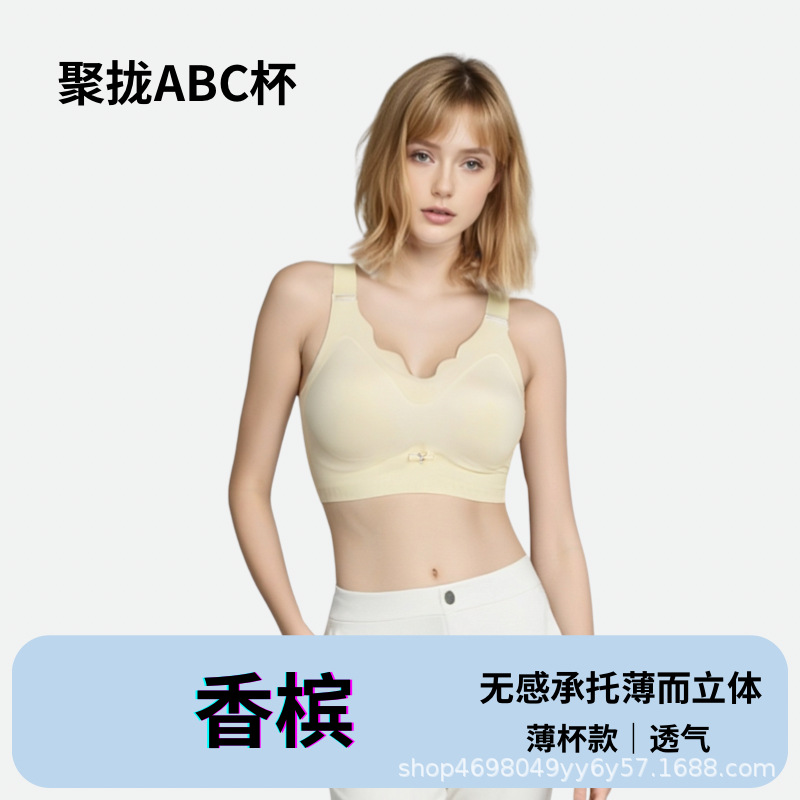 샴페인
