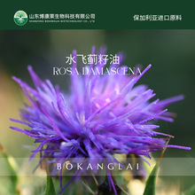 保加利亚进口有机水飞蓟籽油